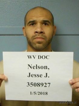 Jesse James Nelson Mugshot