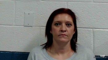 Jessica Lynn Adkins Mugshot