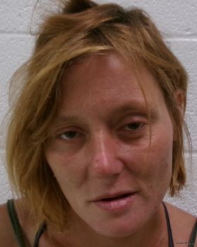 Jessica Wynette Newcomb Mugshot