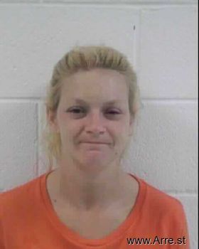 Jessica Lynn Vannatter Mugshot