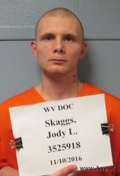 Jody Lee Skaggs Mugshot