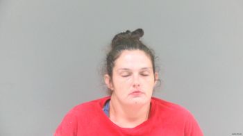 Johnna Cheyenne Mullins Mugshot