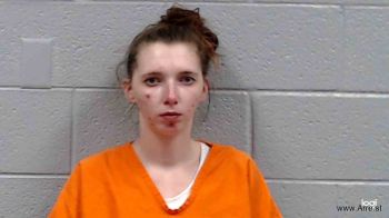 Journey Elizabeth Robinson Mugshot