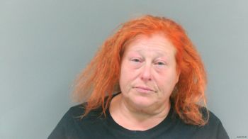 Joy Ann Armes Mugshot