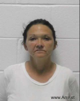 Joyce Ann Knipp Mugshot