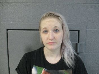 Julie Ann Truax Mugshot