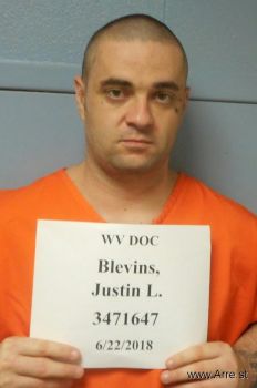 Justin Lee Blevins Mugshot