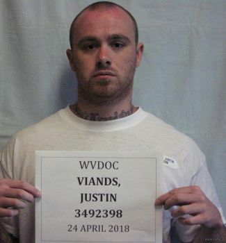 Justin Michael Viands Mugshot