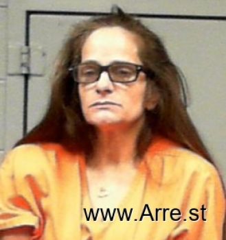 Karen Sue Boyles Mugshot