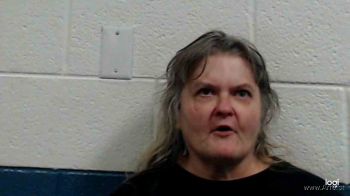 Karen Sue Rollins Mugshot