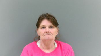 Karen  Turner Mugshot