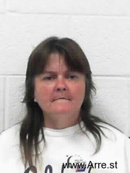 Karen Sue Rollins Mugshot