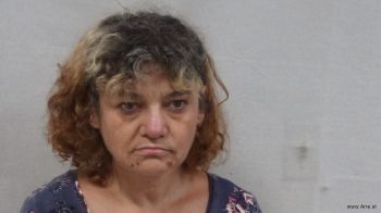 Kari Lynn Frame Mugshot