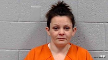 Kayla Ann Anderson Mugshot