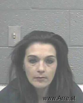 Kerri Lynn Williamson Mugshot