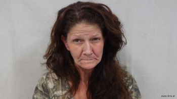 Kimberly Dawn Halstead Mugshot