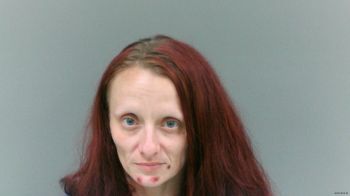 Krestan Ann Mullins Mugshot