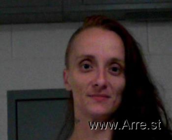 Krestan Ann Mullins Mugshot