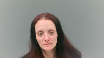 Krestan Ann Mullins Mugshot