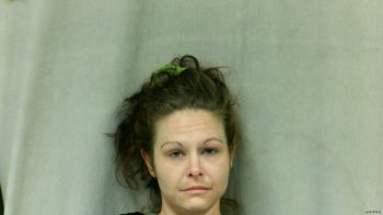 Kristan Marie Johnson Mugshot