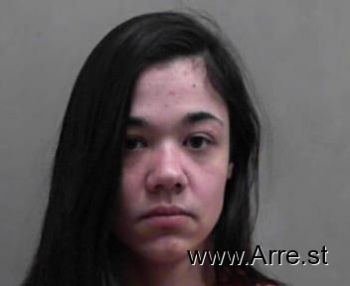 Kristen Ann Nieman Mugshot