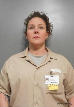 Kristyn L Palmer Mugshot