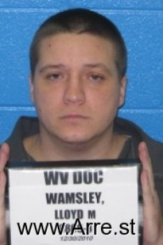 Lloyd M Wamsley Mugshot