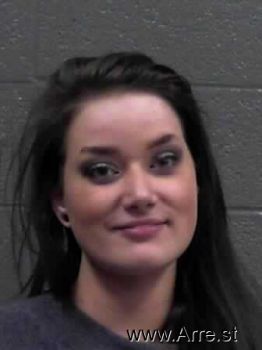 Lakin Nicole Mitchem Mugshot