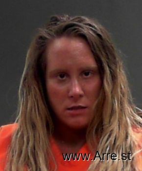 Lana Danelle Zwolensky Mugshot