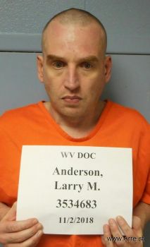 Larry Matthew Anderson Mugshot