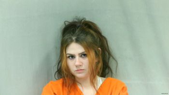 Laura Sue Mcneely Mugshot