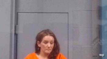 Leslie Ann Gray Mugshot