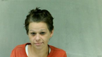 Leslie Ann Messer Mugshot