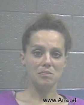 Leslie Nicole Miller Mugshot