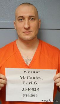 Levi Garrett Mccauley Mugshot