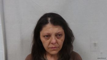 Linda Irene Adkins Mugshot