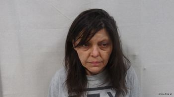 Linda Irene Adkins Mugshot