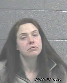 Lindsay Dianne Williams Mugshot