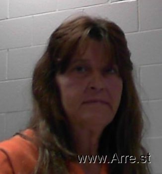 Lisa Ann Bailey Mugshot