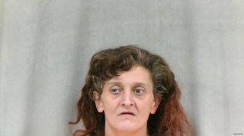 Lisa B Blankenship Mugshot