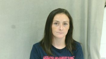 Lisa Dawn Bryant Mugshot