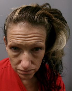 Lisa Lynn Church Mugshot