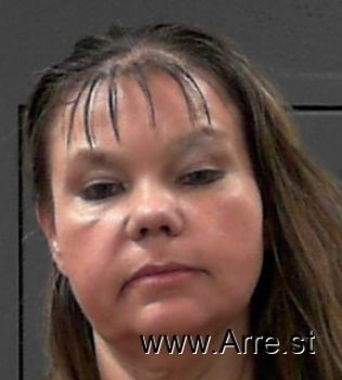 Lisa Sue Terry Mugshot