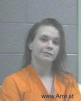 Lisa Michelle Cook Mugshot