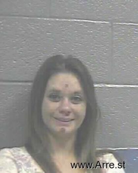 Lisa Michelle Cook Mugshot