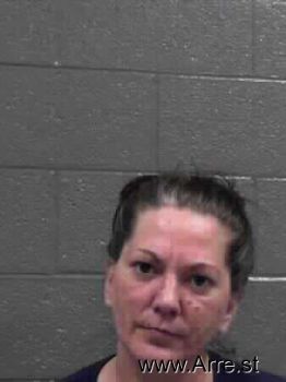 Lisa Mae Johnson Mugshot