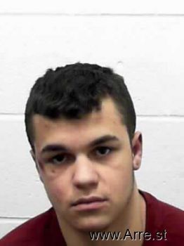 Logan Anthony Ross Mugshot