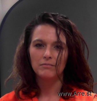 Lori Ann Burns Mugshot