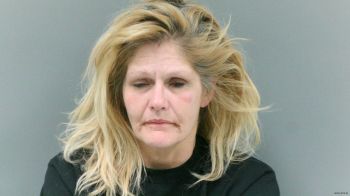 Lori Ann Collins Mugshot