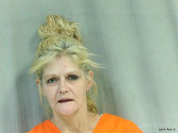 Lori Ann Collins Mugshot